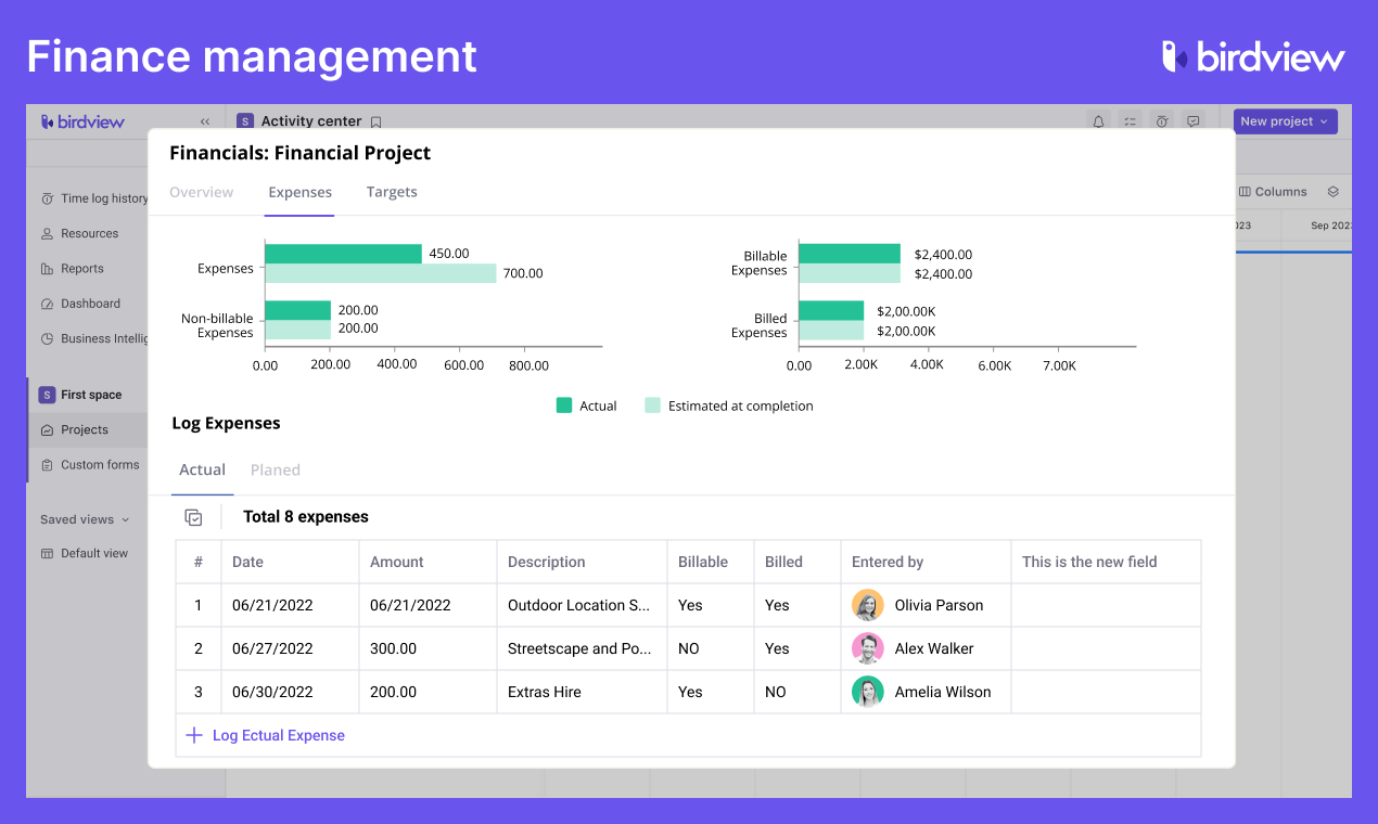 Birdview PSA Software - Finance Management