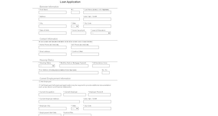 LOAN SERVICING SOFT screenshot: Custom Web Application