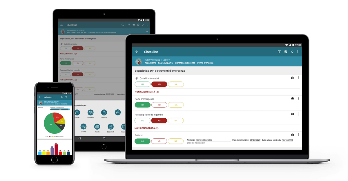 Audit Manager screenshot: Software gestione audit