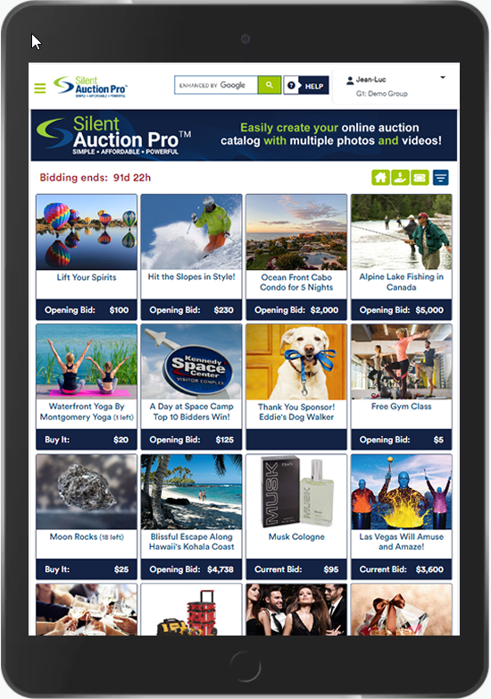 Silent Auction Pro - Online Bidding Detail Page