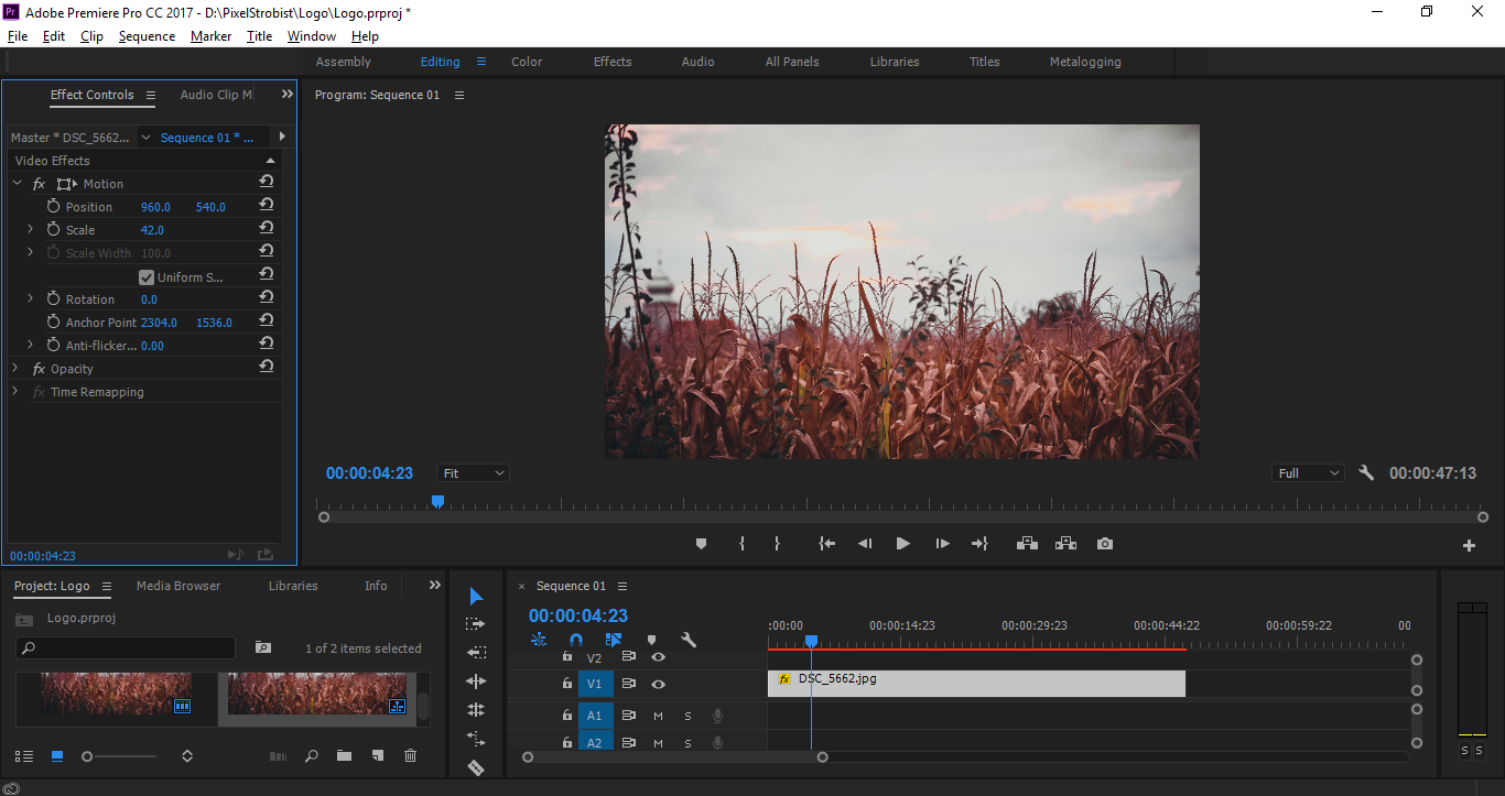 Adobe Premiere Pro