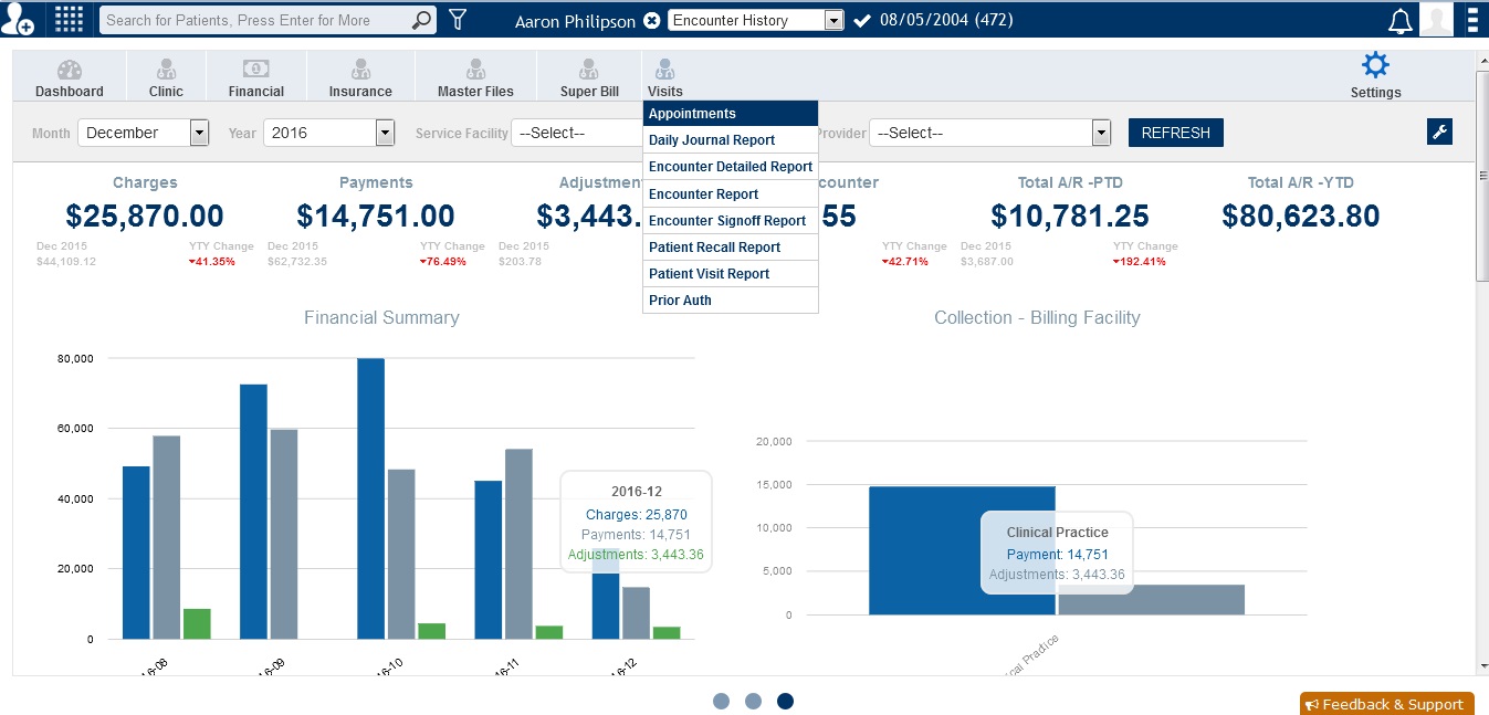 blueBriX screenshot: BlueEHR financial summary