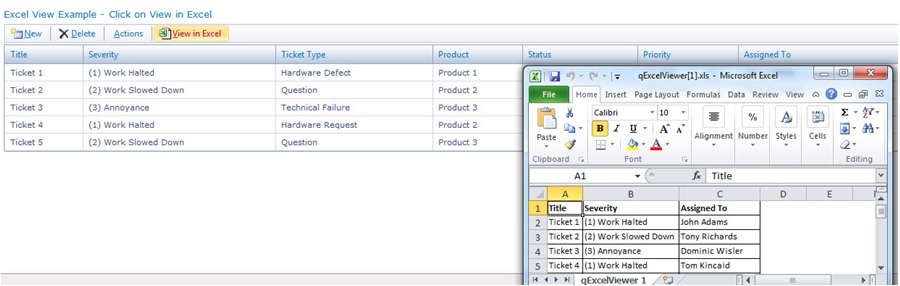 Excel view