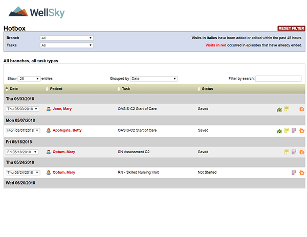 WellSky Home Health Software - 3