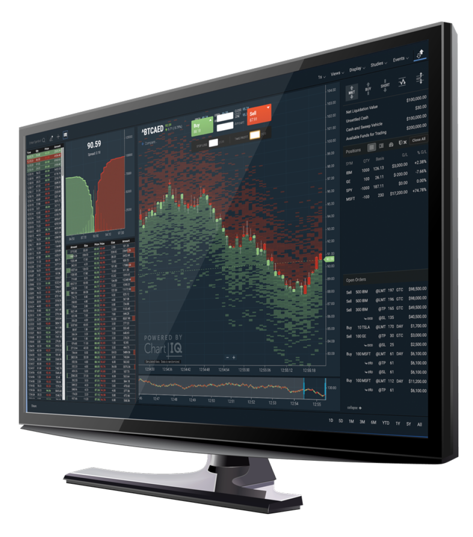 ChartIQ 소프트웨어 - 1