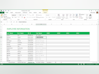 Microsoft Excel Software - 3