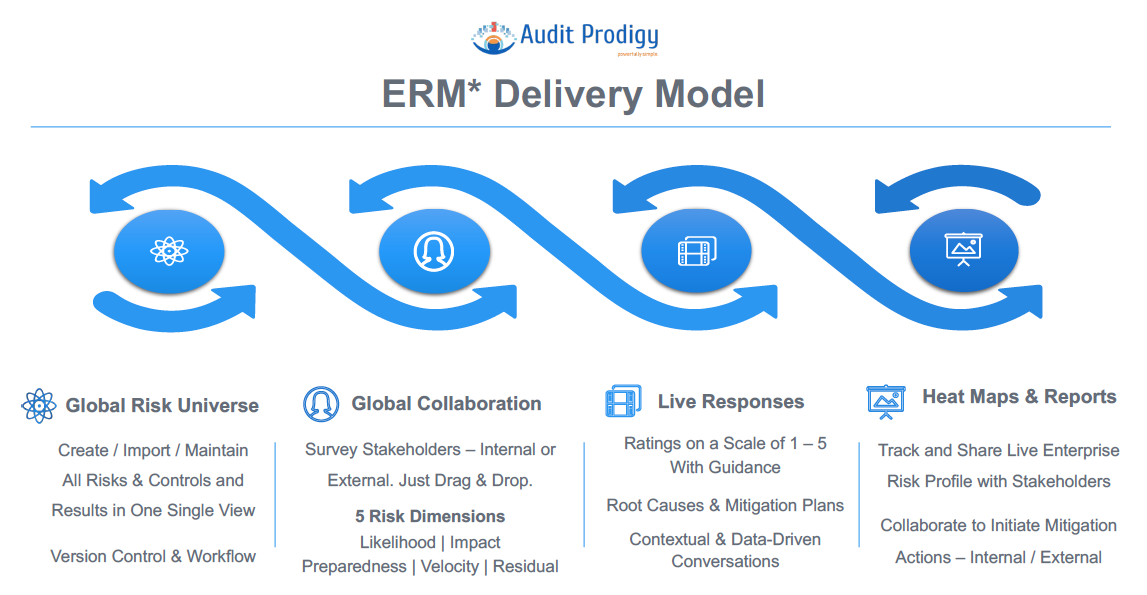 Audit Prodigy Software - 3