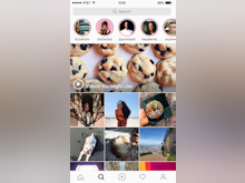 Instagram Software - Instagram automatically recommends content to users, based on who they follow and which posts they have liked