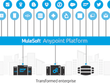 Anypoint Platform Software - 10