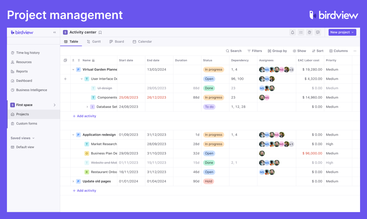 Birdview Software - Project Management