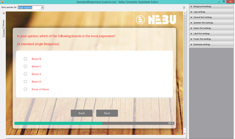 Nebu Dub InterViewer screenshot: The Nebu template stylesheet editor enables users to edit the stylesheet of responsive templates