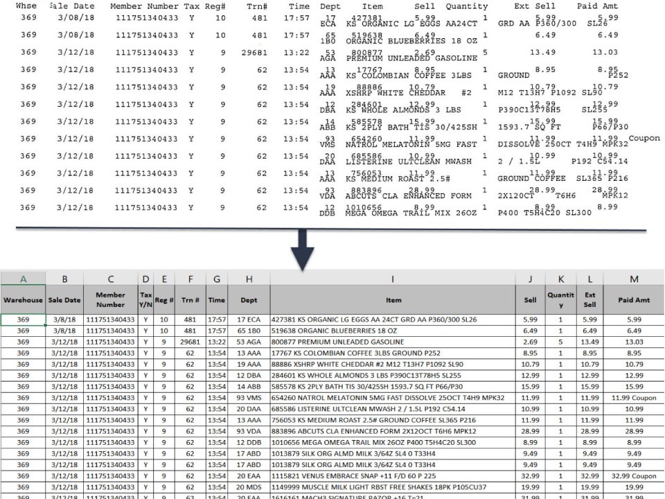 Financial Data Extractor screenshot: Financial Data Extractor financial workflows automation