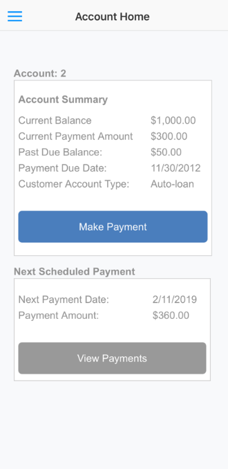 PaymentVision account details