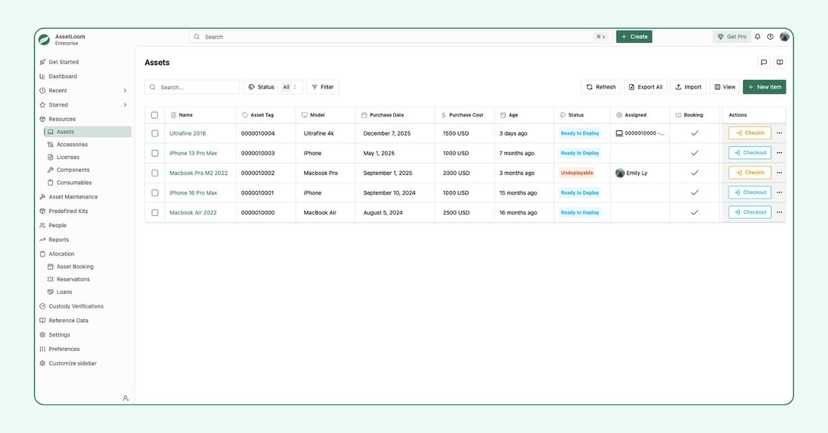 AssetLoom screenshot: AssetLoom asset list