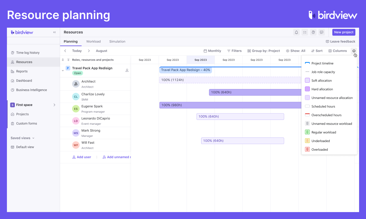 Birdview Software - Resource Planning