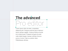 Maglr Software - All elements can be freely positioned on the page using the Pro editor