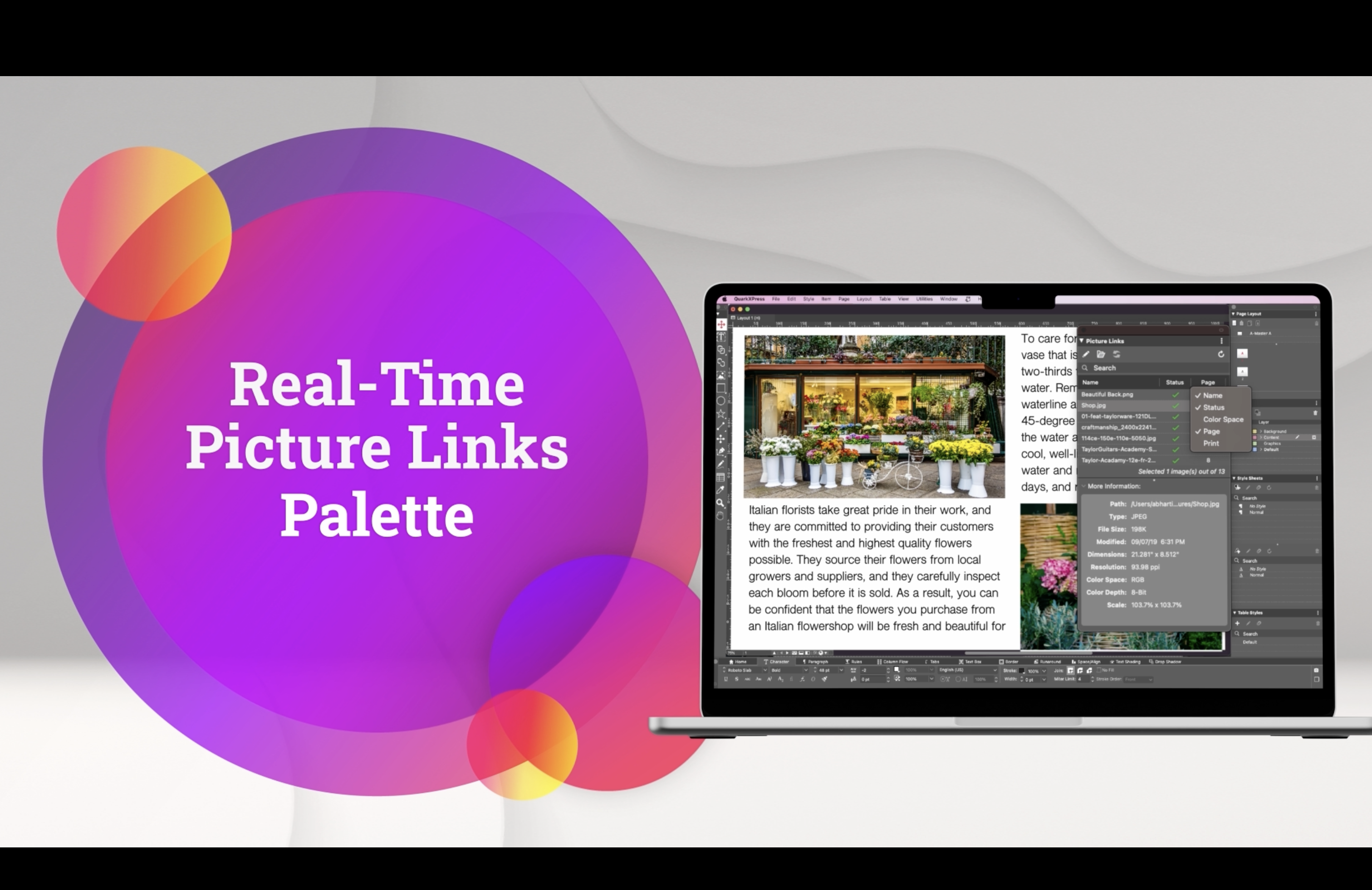 QuarkXPress Software - Real-Time Picture Links Palette