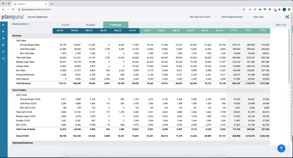 PlanGuru Software - Income Statement Forecast