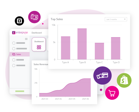Enterpryze Software - Aesthetic Interface